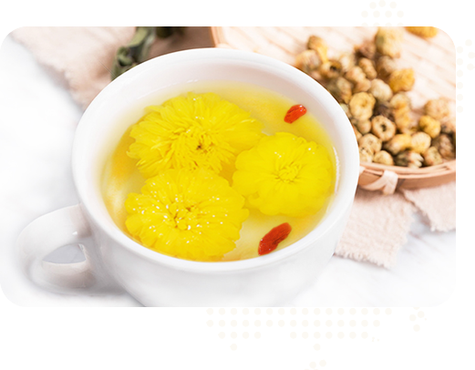 始建于2015年,實(shí)力雄厚